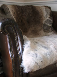 Reindeer Hide